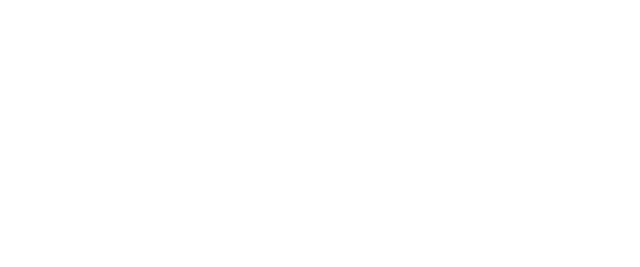 Quest Detective